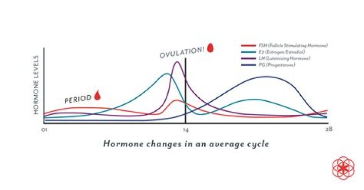 Are estrogen levels low during period?