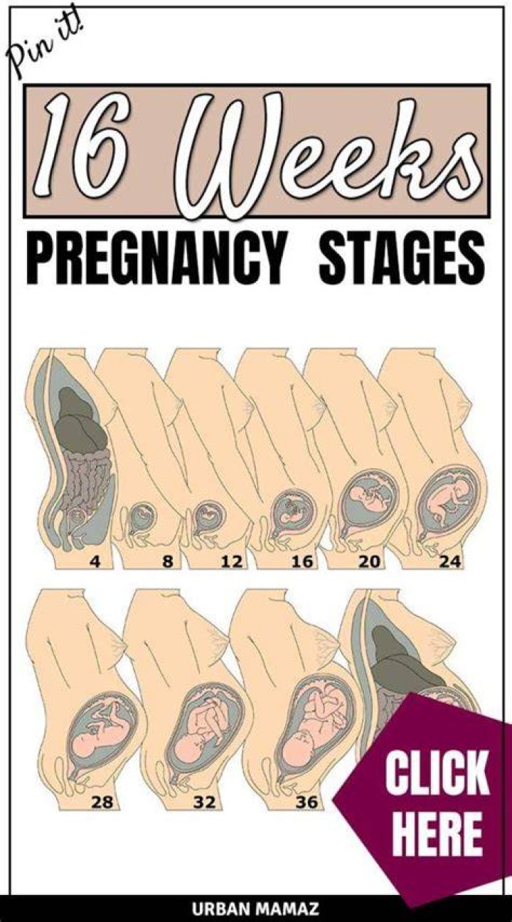 At sixteen weeks pregnant?