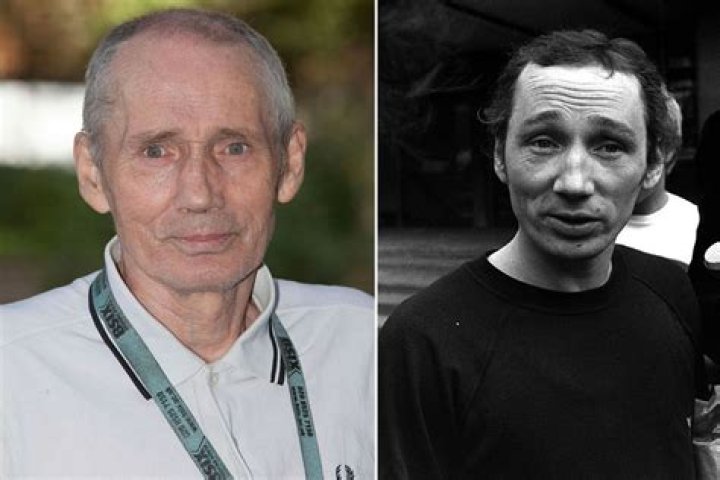 Did michael fagan go to prison?