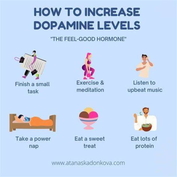 Does schisandra increase dopamine?