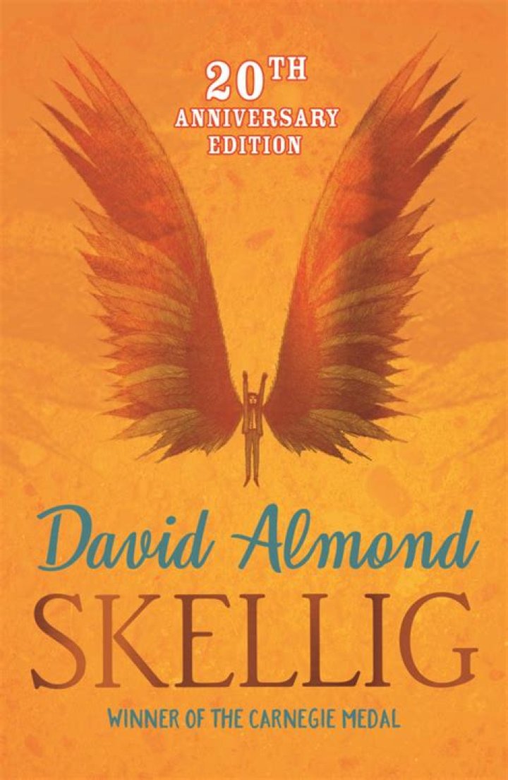How did skellig get in the garage?