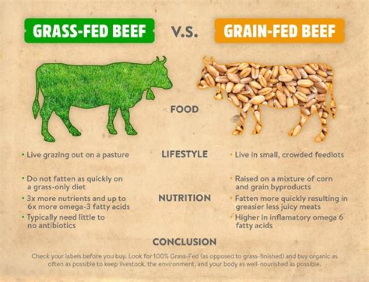 How is grass fed beef better for the environment?