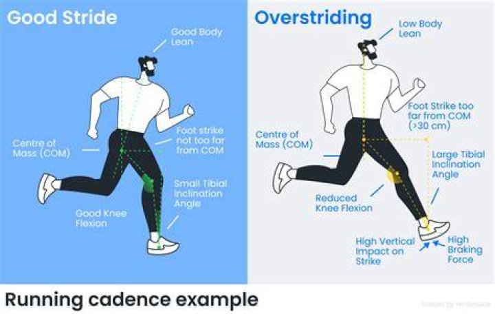 How to run cadence?