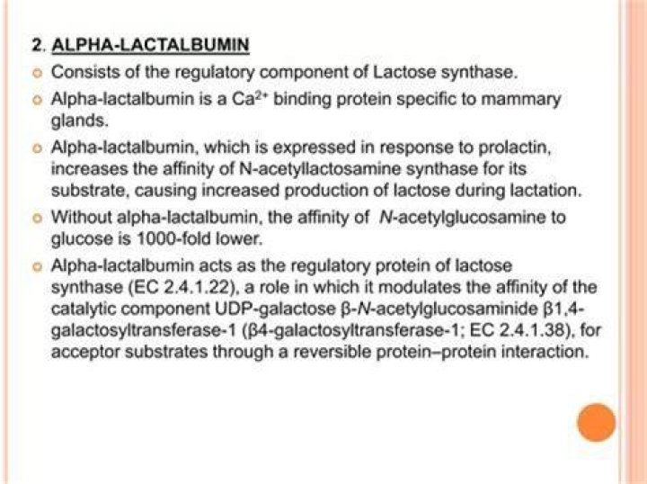 Is lactalbumin the same as lactose?