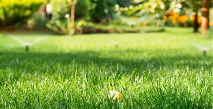 Should grass be cut short in hot weather?
