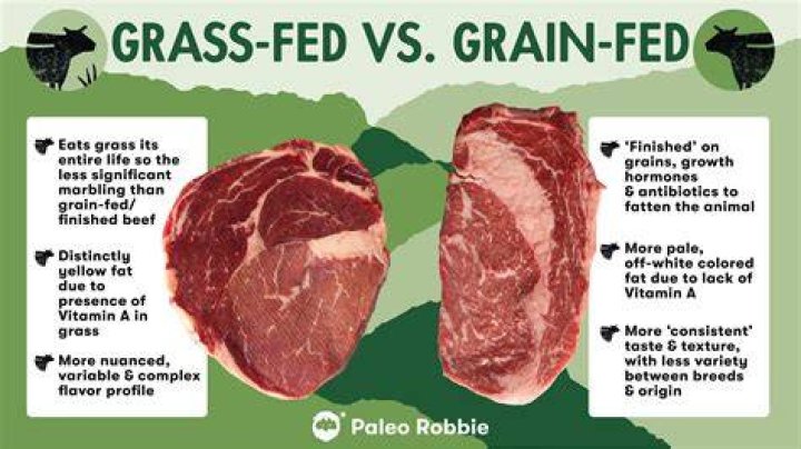 Should i buy grass fed beef?