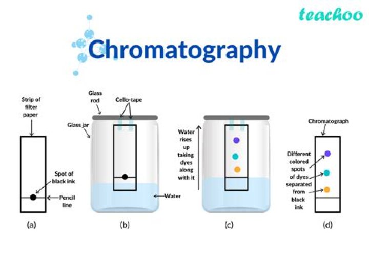 What chromatography in chemistry?