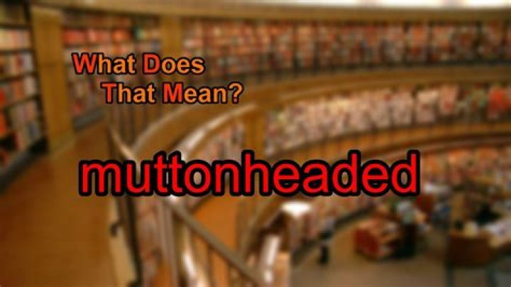 What does muttonheaded mean?