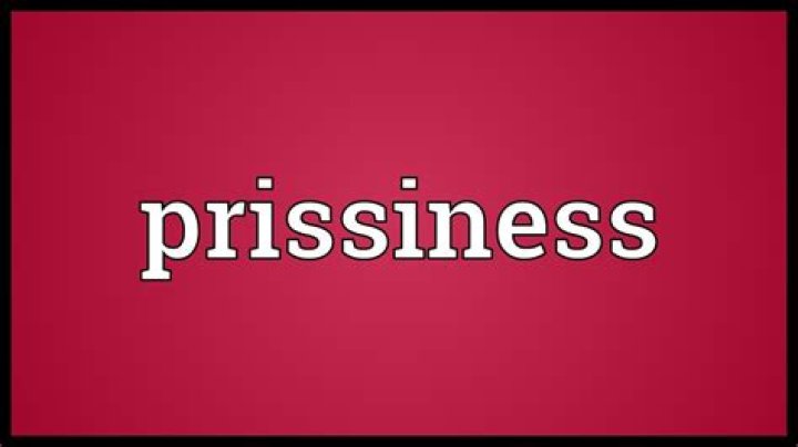 What does prissiness meaning?