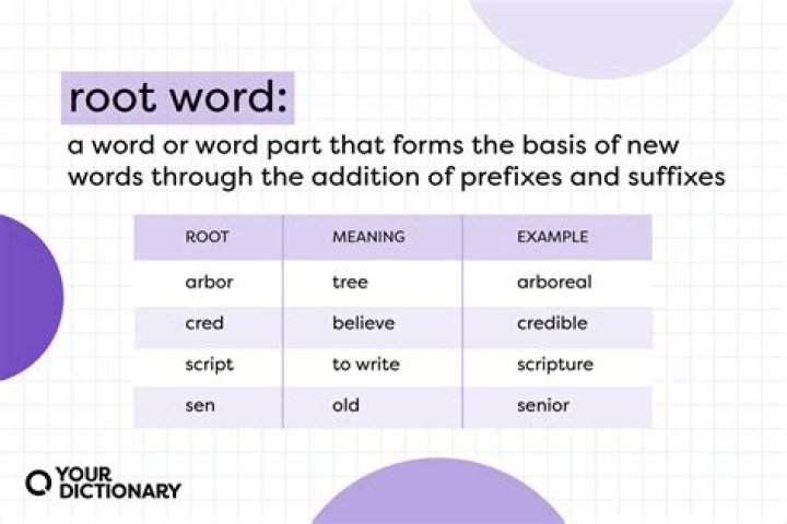 What does the root omphalo meaning?