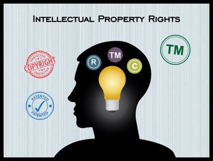What is intellectual property rights?