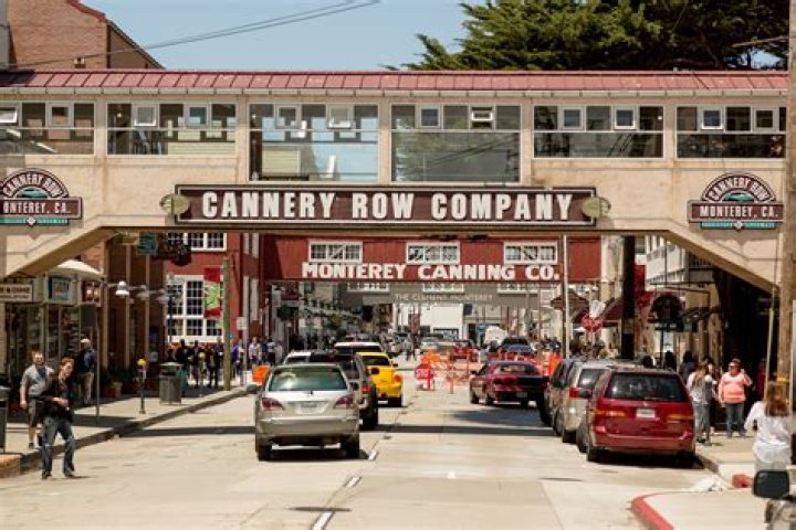 What is the plot of cannery row?
