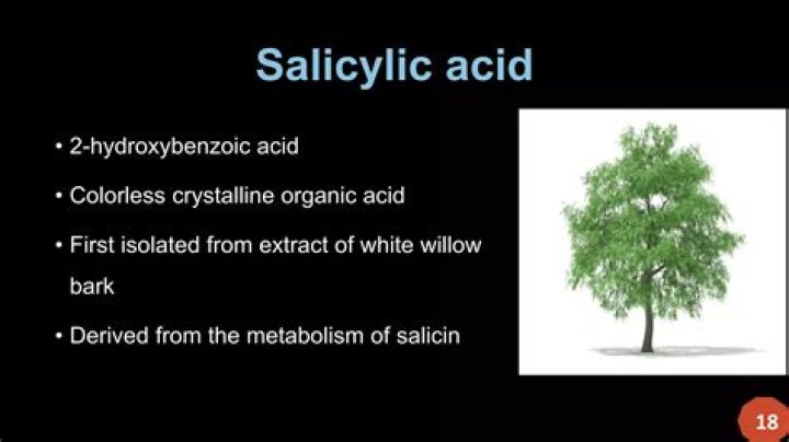 What plants contain salicin?