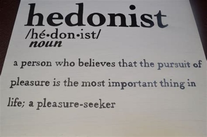 Whats the definition of hedonist?