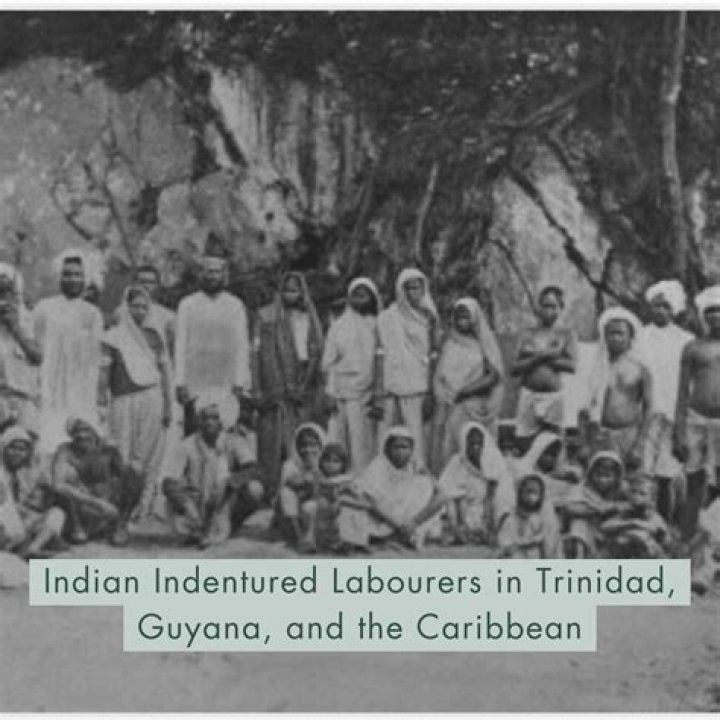 Where did the indian indentured labourers came from?
