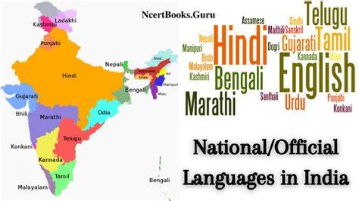 Which is the national language of india?