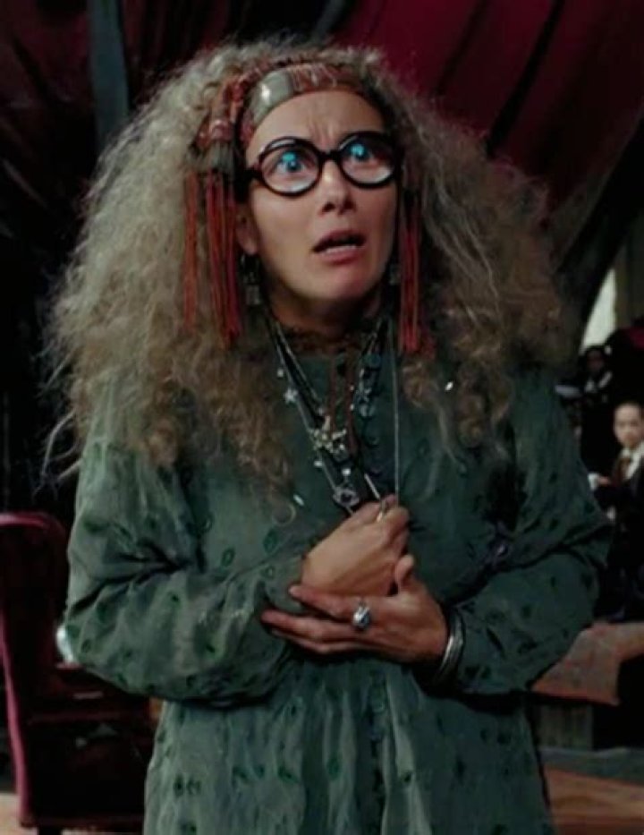 Which of professor trelawney's prophecies is true?
