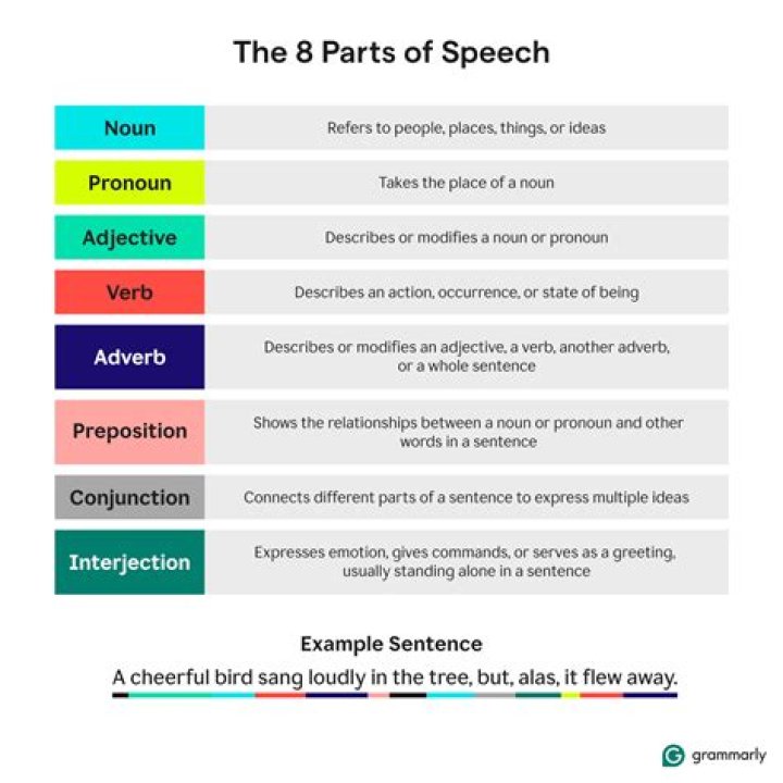 Which parts) of your speech should be memorized?