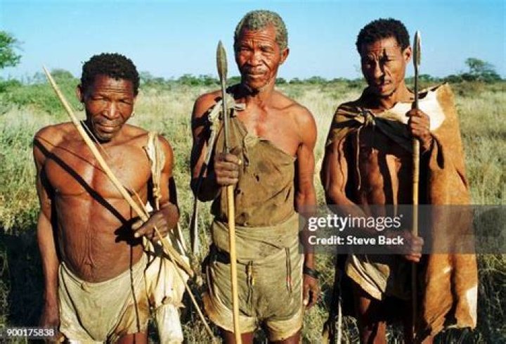 Who are bushmen of kalahari?