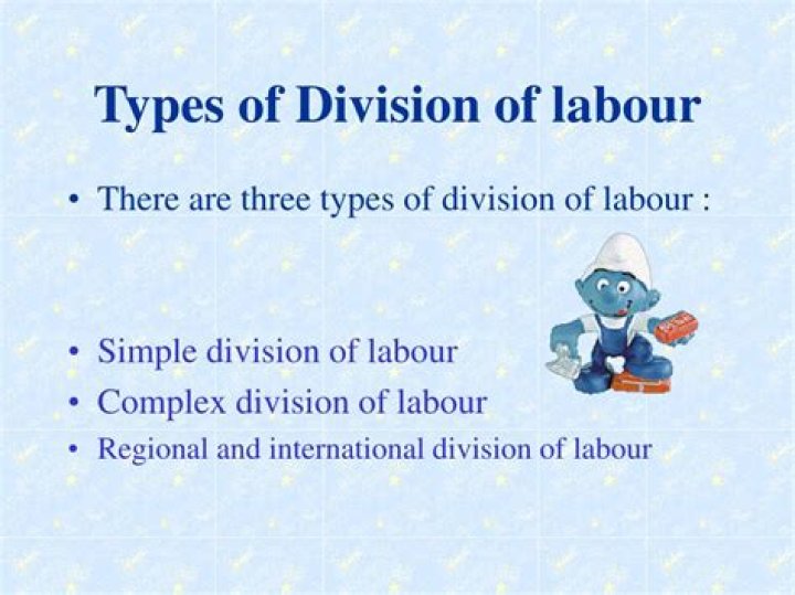 Who division of labour?