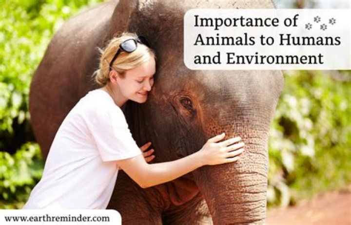 Why do humans care about animals?