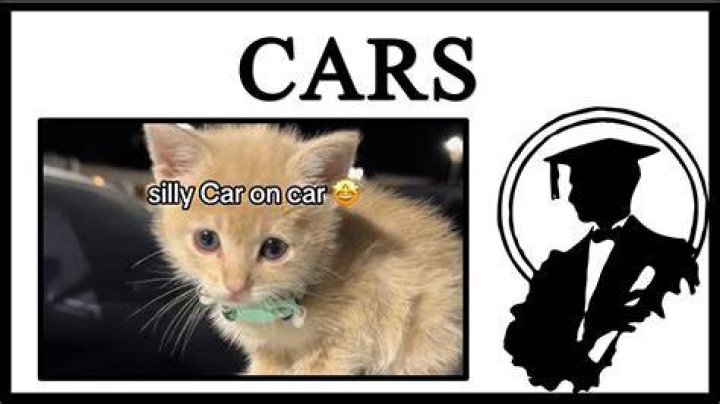 Why do they call cars gassers?