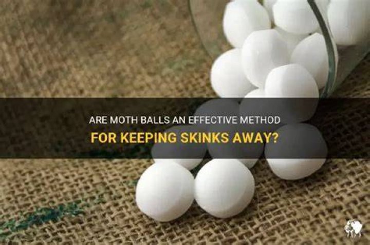 Will moth balls keep skinks away?